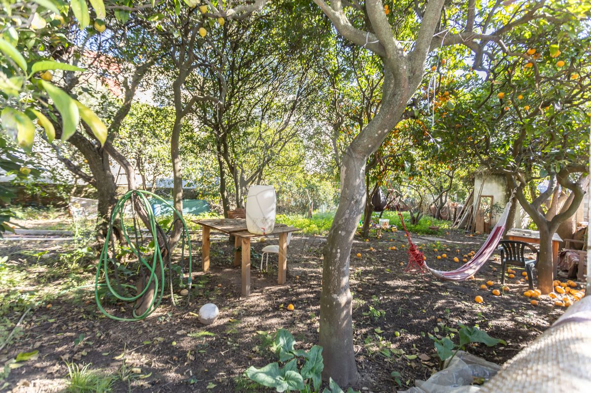 afd44f61-acf5-4ab6-b299-5e1a5426d3a5